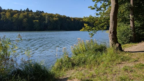 Lütauer See - Schmalsee Rundwanderung