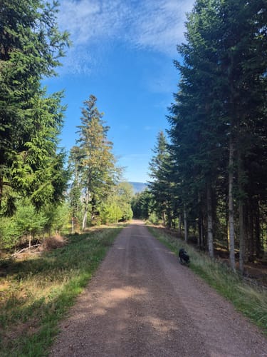Bermersbach Runde