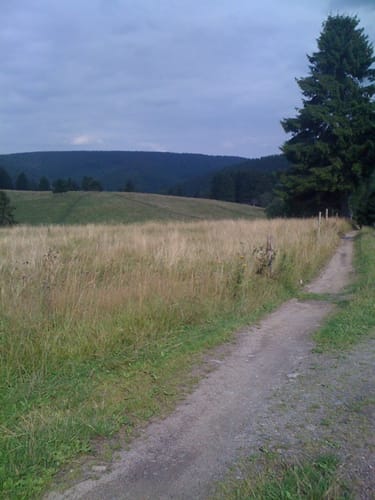 Am Rosenkopf
