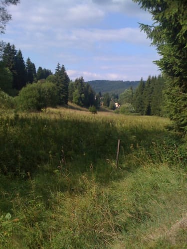 Am Rosenkopf
