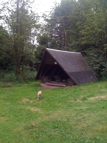Zum Großen Finsterberg ab Stützerbach