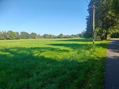 Fontaneweg