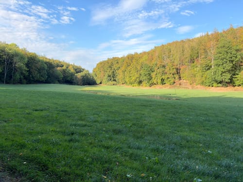 Waschenbach nach Neutsch