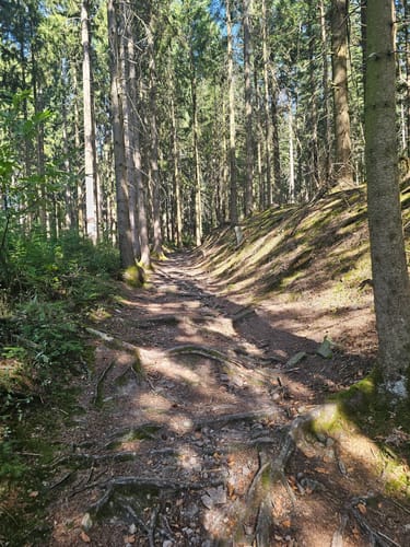 Schnapsbrunnenweg 2