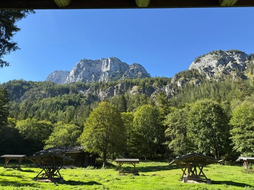 Wildfütterung
