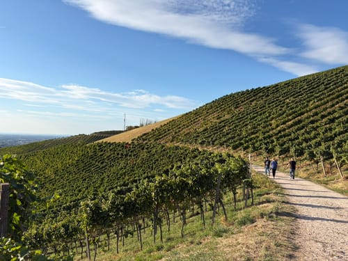 Schnapsbrunnenweg 1