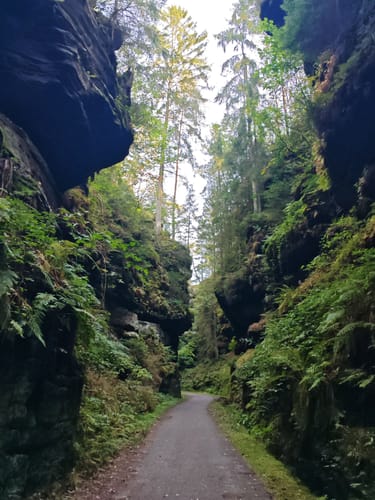 Von Wehlen zur Bastei