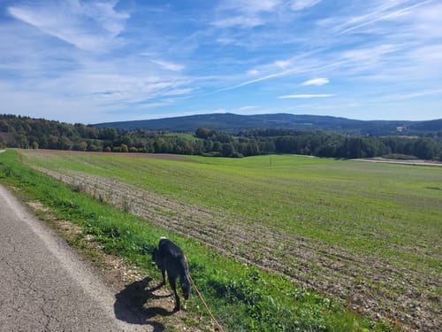Waldecker Rundwanderwege: Roter Punkt
