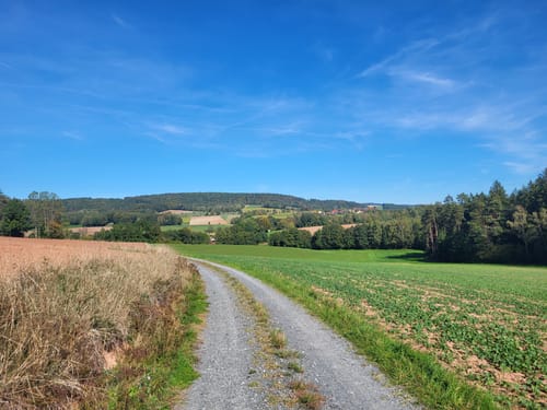 Waldecker Rundwanderwege: Roter Punkt