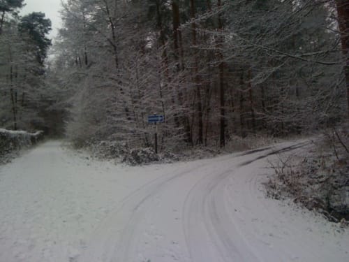 Rund um den Wildpark Alte Fasanerie