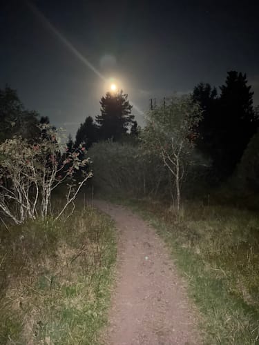 Allerheiligen-Wasserfall zum Schliffkopf Rundweg