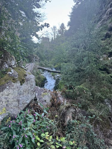 Allerheiligen-Wasserfall zum Schliffkopf Rundweg