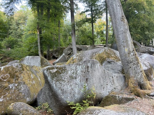 Großer Felsenmeerweg