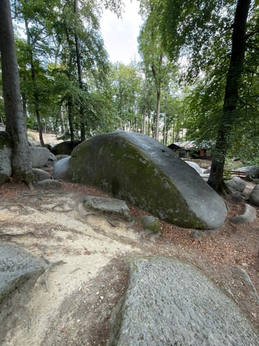 Großer Felsenmeerweg