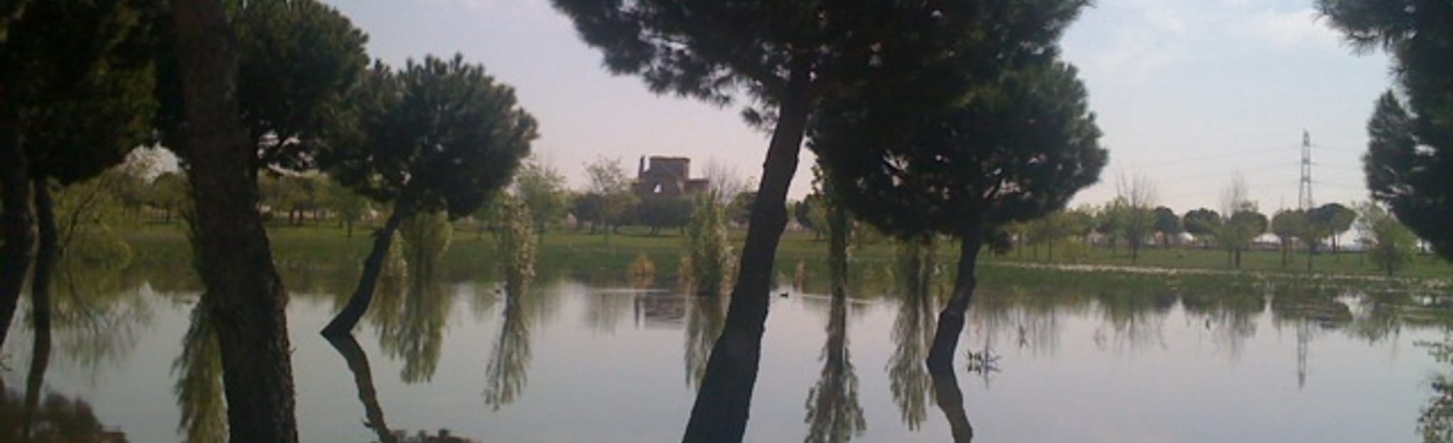 Parque de la Hispanidad Parque de Polvoranca Parque Las Presillas