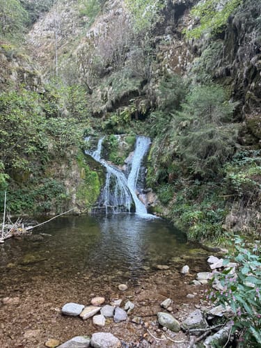 Allerheiligen-Wasserfall zum Schliffkopf Rundweg