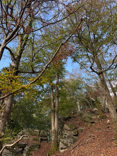 Großer Zacken und Weilsberg
