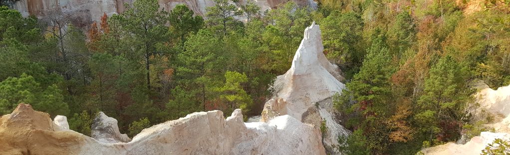 are dogs allowed at providence canyon