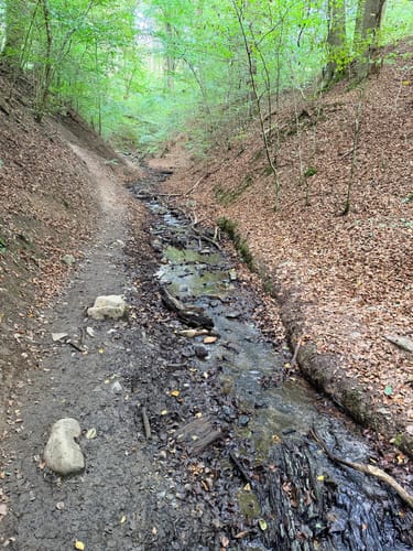 Ruppertsklamm Rundweg