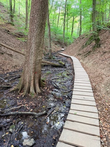 Ruppertsklamm Rundweg