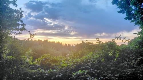 Nieheimer Kunstpfad