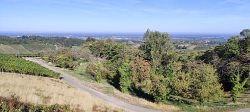 Schnapsbrunnenweg 2