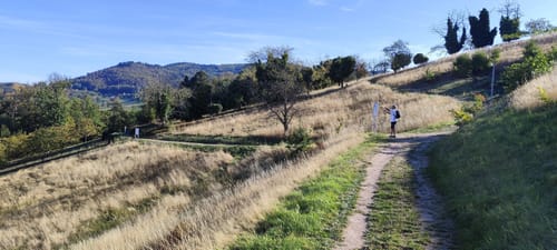 Schnapsbrunnenweg 2