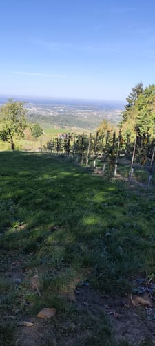Schnapsbrunnenweg 2
