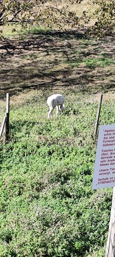 Schnapsbrunnenweg 2