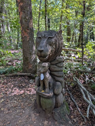 Urwald Tour (Premiumwanderweg)