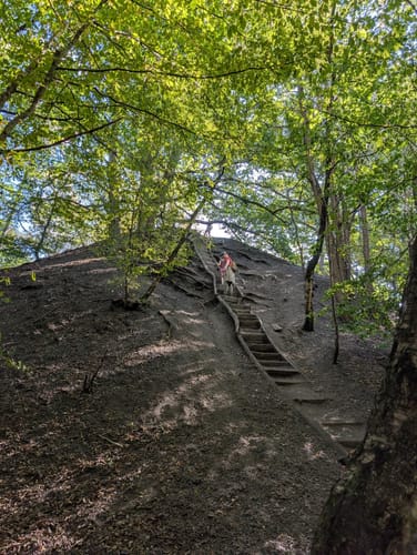 Urwald Tour (Premiumwanderweg)