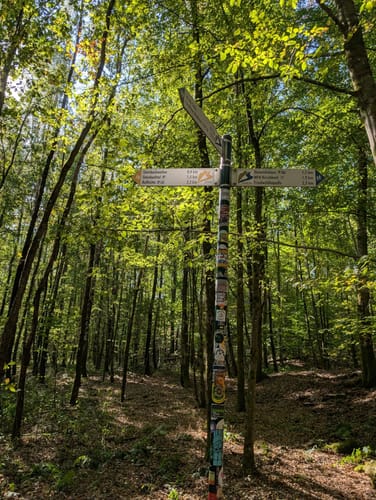 Urwald Tour (Premiumwanderweg)