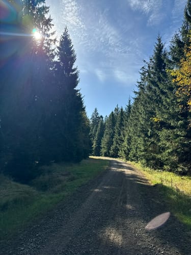 Burgruine Schellenberg und Brotfelsen