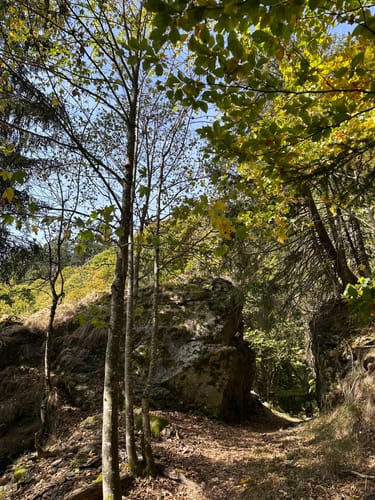 Wanderung auf den Belchen