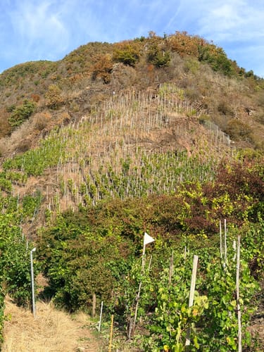 Moselsteig Etappe 18: Beilstein - Cochem