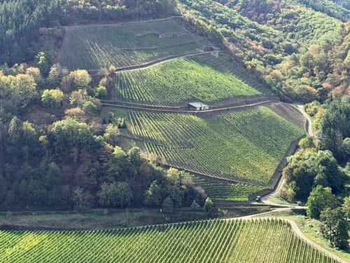 Moselsteig Etappe 18: Beilstein - Cochem