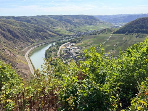 Moselsteig Etappe 18: Beilstein - Cochem