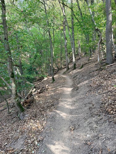 Moselsteig Etappe 18: Beilstein - Cochem