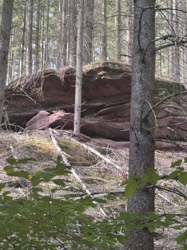 Brunnen- und Quellenweg (Premiumwanderweg)