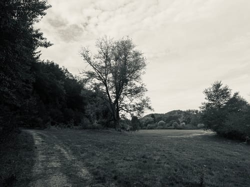 Brunnen- und Quellenweg (Premiumwanderweg)