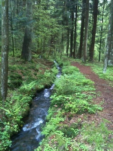 Über Amesberg und Baumgarten