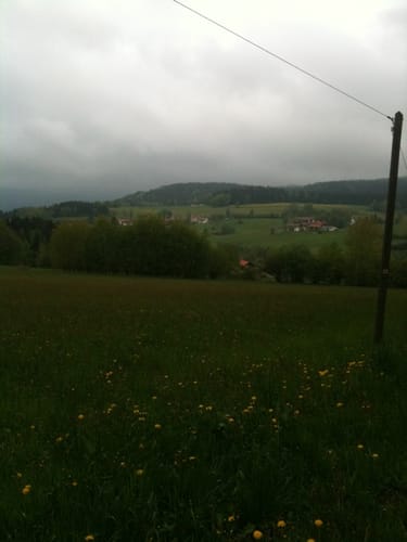Über Amesberg und Baumgarten