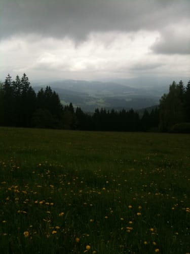 Über Amesberg und Baumgarten
