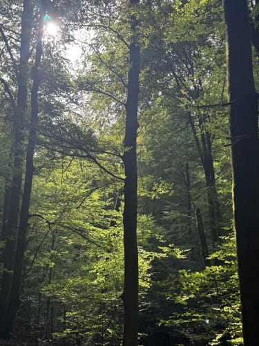 Brunnen- und Quellenweg (Premiumwanderweg)