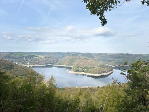 Wilder Kermeter und Hirschley
