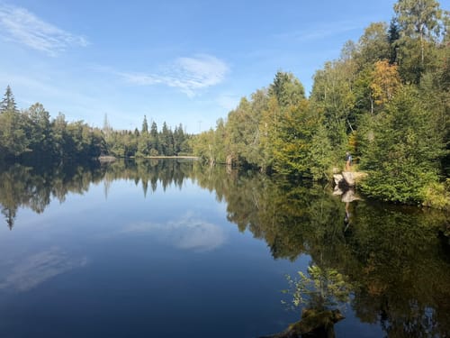 Naturmythenpfad Braunlage