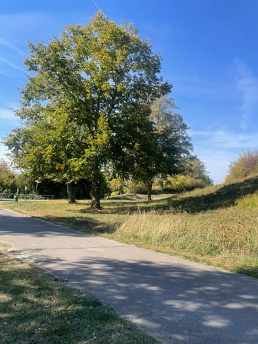 HOCHGEHBERGE I "hochgehnießen" (Premiumspazierwanderweg)