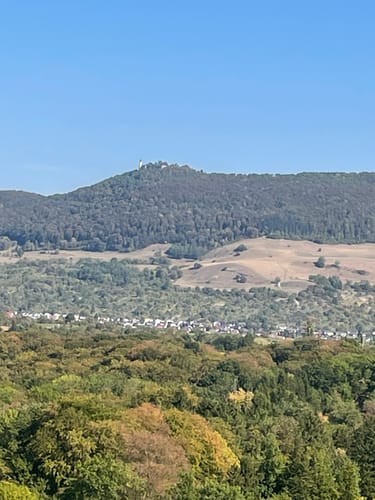 HOCHGEHBERGE I "hochgehnießen" (Premiumspazierwanderweg)
