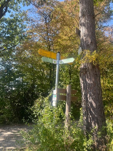 HOCHGEHBERGE I "hochgehnießen" (Premiumspazierwanderweg)