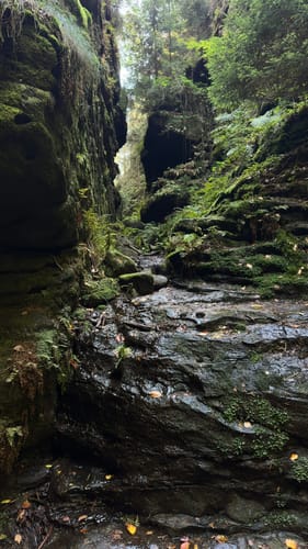 Rathewalde - Schwedenlöcher - Höllengrund